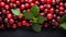 Ultra-detailed Cranberry On Dark Gray Stone Background