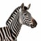 Ultra-detailed Photorealistic Portrait Of Zebra In 8k Resolution