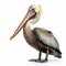 Ultra-detailed Photorealistic Rendering Of Pelican On White Background