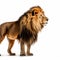 Ultra-detailed Side View Of Lion On White Background