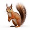 Ultra Hd Squirrel Photo With Ambient Lighting And Super Detail