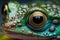 Ultra macro close up of the eyes of a green tree frog, generative Ai