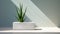 Ultra Photorealistic Aloe Vera Foliage On Minimalist Concrete Wall