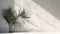 Ultra Photorealistic Palm Foliage On Minimalist Concrete Wall