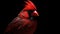 Ultra-realistic Cardinal Bird In Tyler Shields Style - 4k Rendering