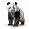 Ultra-realistic Panda Photo With Soft Lighting And High Resolution