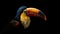 Ultra-realistic Toucan On Black Background - 8k Resolution