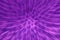 Ultra violet abstraction. Violet explosion. Creative abstract movement