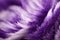 Ultra Violet feathers closeup Abstract pastel purple soft fluffy texture background design, ai generative