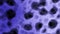 Ultra Violet Gradient Plasma Background 