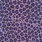 Ultra violet leopard vector seamless pattern