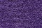 Ultra violet or purple carpet texture backdrop. Warm wool colored cloth with sheep curled nap