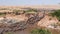 Ultra wide angle shot of wildebeest herd crossing the mara river