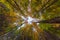 Ultra wide angle upward shot in autumn daylight forest, Cloudy weather