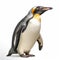 Ultradetailed King Penguin Portrait On White Background