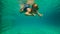 Ultrahd slowmotion underwater shot of a little boy learns how to swim in a pool. Toddler boy dives into pool.