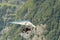 Ultralight airplane with birds in Mollis in Switzerland