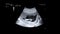 Ultrasonography of pregnant woman. Ultrasound of baby body and spine. Tiny baby is turning in mother`s belly. 16 weeks