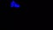 Ultraviolet Gloves in Pantomime Performance. Interacting Blue Hands on Black Background in Black Light Scene.