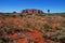 Uluru, Ayers Rock