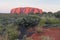 Uluru Daybreak and Desert Flora