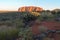 Uluru Sunrise and Desert Flora