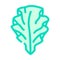 ulva lettuce seaweed color icon vector illustration