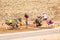 Um Er-Rbia, Morocco - October 15, 2013. Berber women collecting water to barells with donkeys