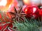 Umbels in the evening sunstar anise seed - christmas decoration