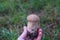 Umber-brown puffball - Lycoperdon umbrinum