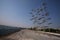 Umbrella artwork at Thessaloniki seaside