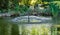 Umbrella Fountain on the emerald surface of the pond in the old shady garden. Freshness and coolness