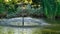 Umbrella Fountain on the green surface of the pond in the old shady garden. Freshness of water jets creates a mood of relaxation