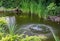 Umbrella Fountain on the green surface of the pond in the old shady garden. Freshness of water jets creates a mood of relaxation