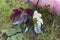 Umbrella, lilac, boots and burdock.