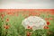 Umbrella in poppies field. Artistic interpretation.