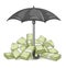 Umbrella protecting bundles with money