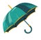umbrella provides safety during rain