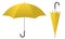 Umbrella yellow 2