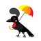 Umbrellabird animal cartoon character vector illustration