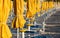 Umbrellas and chairs on a bathing establishment