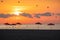 Umbrellas, flying birds and tropical beach and golden sunrise over the sea horizon