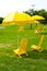 Umbrellas and loungers standing on the grass