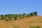 Umbrian landscape