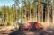 Umea, Sweden - May 17, 2019: Swedish farmer drives at the spring field, he uses a tractor to seed wheat. Modern Swedish ecological