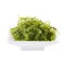 Umi-budou, Seaweed , Healthy sea food. Oval sea grapes seaweed. Healthy Food, Close up Green Caviar over white background
