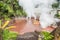 Umi jigoku hot spring in Beppu, Kyushu, Japan