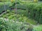 Umpherston Sinkhole or the Sunken Garden