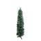 Unadorned Christmas tree, pine isolated on white