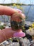 Unakite Gems Polished Lake Stones Gems River Water Rocks